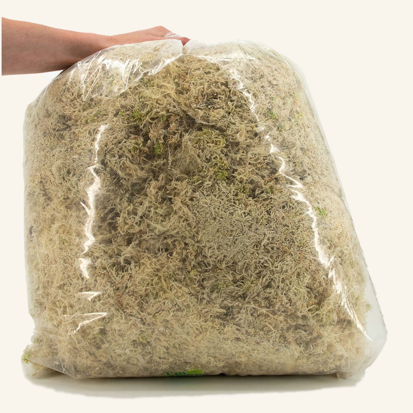 Sphaxx (Indoor Grown Sphagnum)