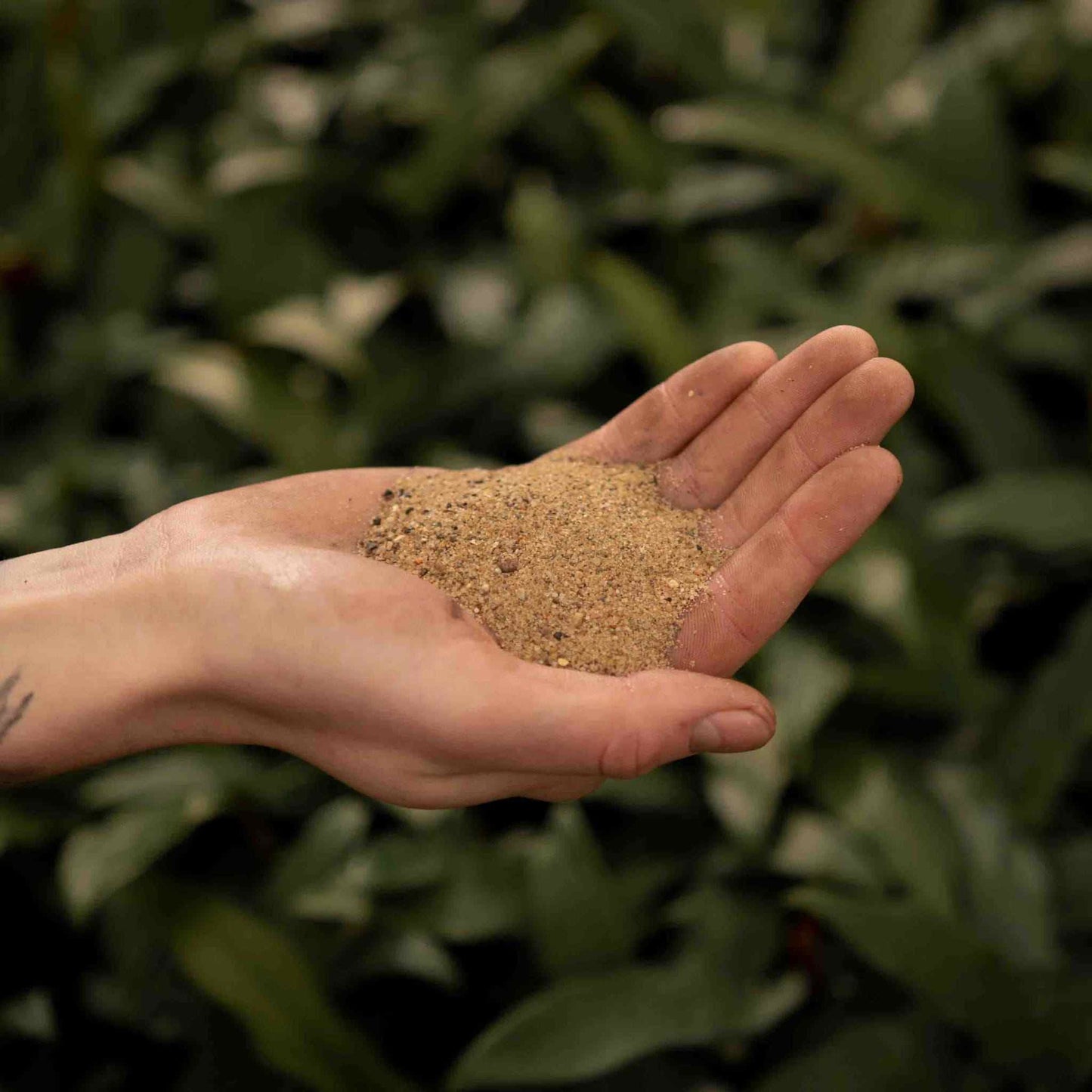 Horticultural sand